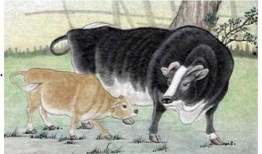 最新版本大爆料牛气冲天,牛气冲天，揭秘科技巨头新动向