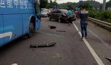 梅华车祸最新爆料消息今天,揭秘事故真相与受害者家属发声”